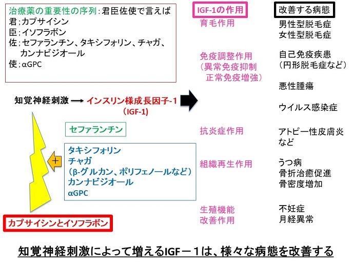 円形脱毛症　病院